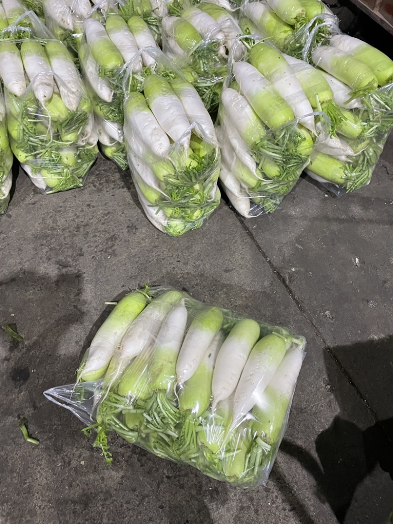 刚上市新鲜青头萝卜