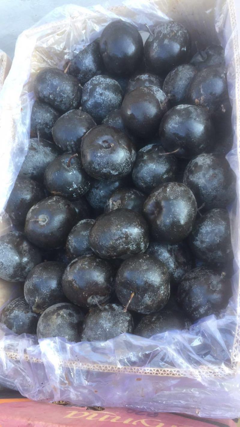 东北冻梨，辽宁冻梨，北镇冻梨，大量上市，欢迎采购