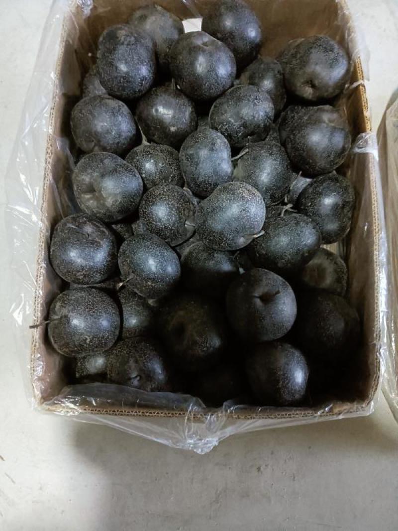 东北冻梨，辽宁冻梨，北镇冻梨，大量上市，欢迎采购