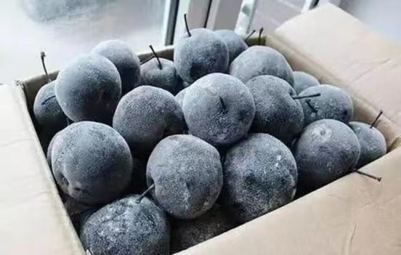 东北冻梨，辽宁冻梨，北镇冻梨，大量上市，欢迎采购