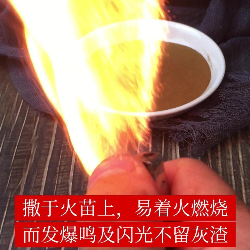 海金沙精选野生海金沙