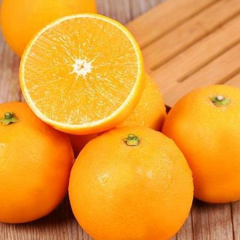 【现摘现发】正宗冰糖橙大量供应甜度高水分足