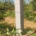 水泥柱固定卡河北永德助新建果园猕猴桃葡萄立架密植果园专用
