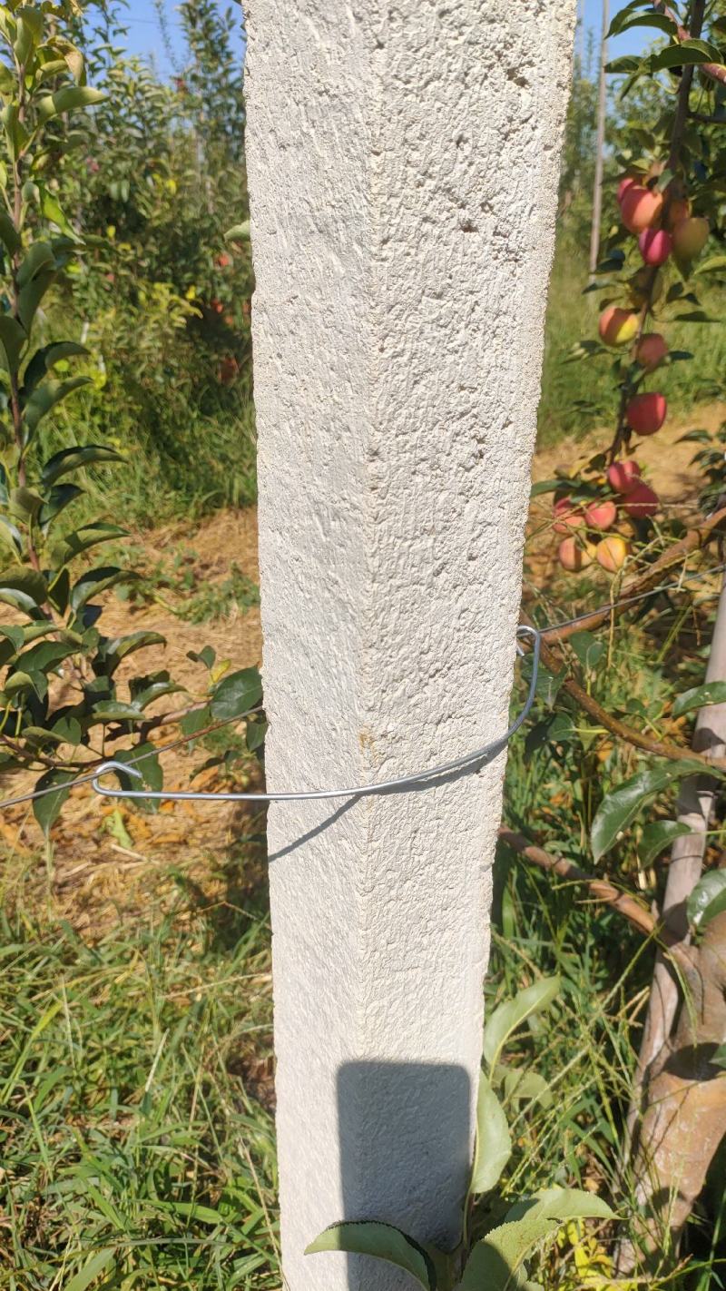 水泥柱固定卡河北永德助新建果园猕猴桃葡萄立架密植果园专用
