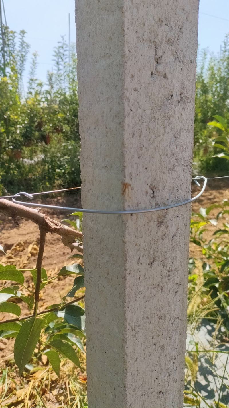 水泥柱固定卡河北永德助新建果园猕猴桃葡萄立架密植果园专用