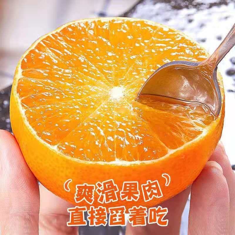 【麻阳冰糖橙】果园直采大量供应一手货源代发全国荐