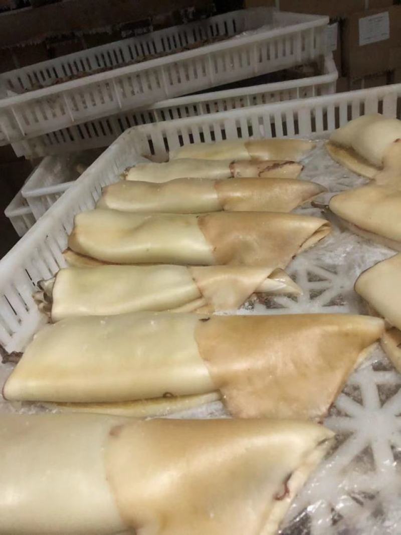 【热卖】扒皮三去大鱿鱼基地直发一手货源对接全国客户