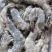 【精品】盐冻虾质量保证货源充足全国发货优质商家