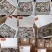 【精品】盐冻虾质量保证货源充足全国发货优质商家