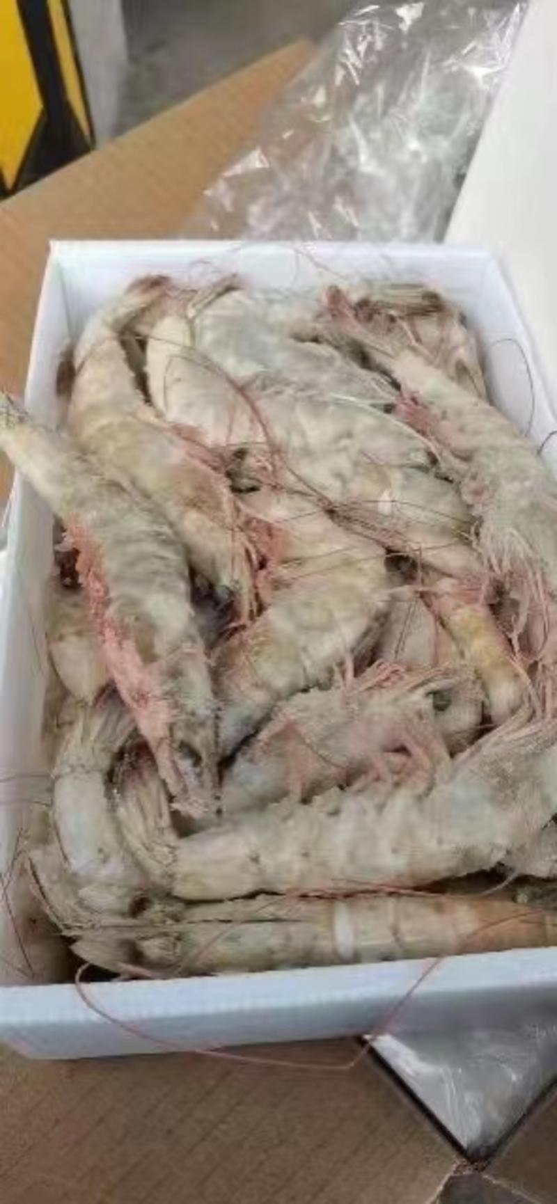 【精品】盐冻虾质量保证货源充足全国发货优质商家