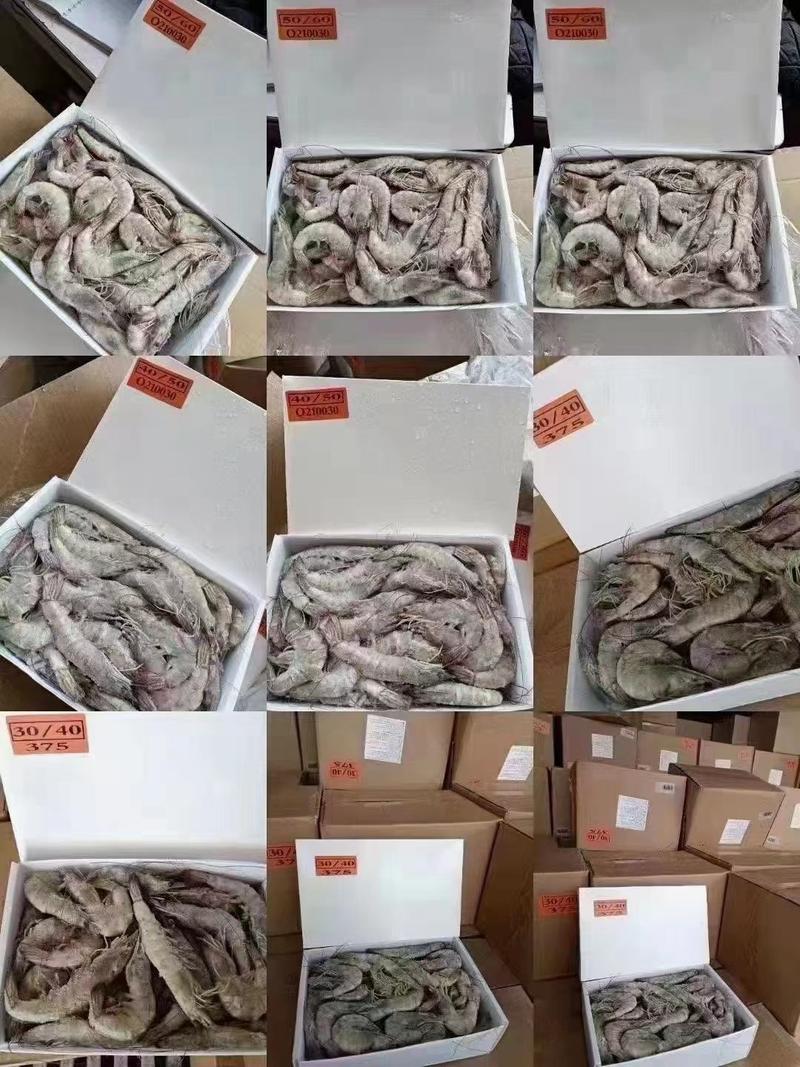 【精品】盐冻虾质量保证货源充足全国发货优质商家