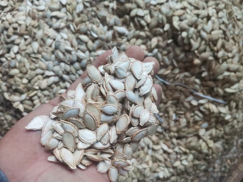 南瓜子，2022年新货南瓜米，价格标好了的，不要问什么价