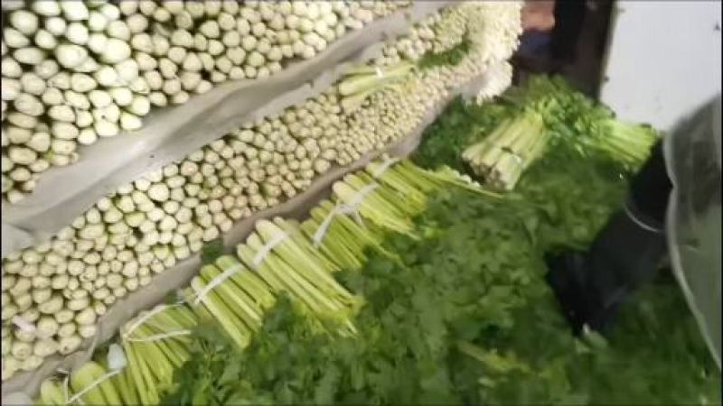 芹菜大量有货，产地直供，代发全国各大市场，商超平台等等，