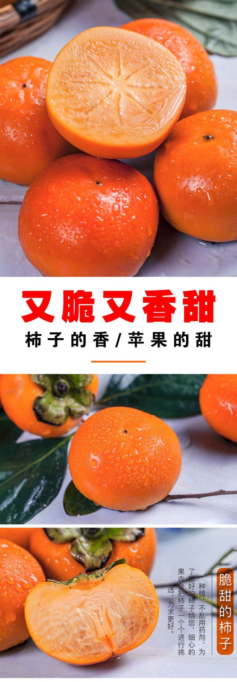 水果柿子甜心巧克力脆柿新鲜脆甜水果柿子电商一件代发