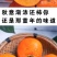 水果柿子甜心巧克力脆柿新鲜脆甜水果柿子电商一件代发