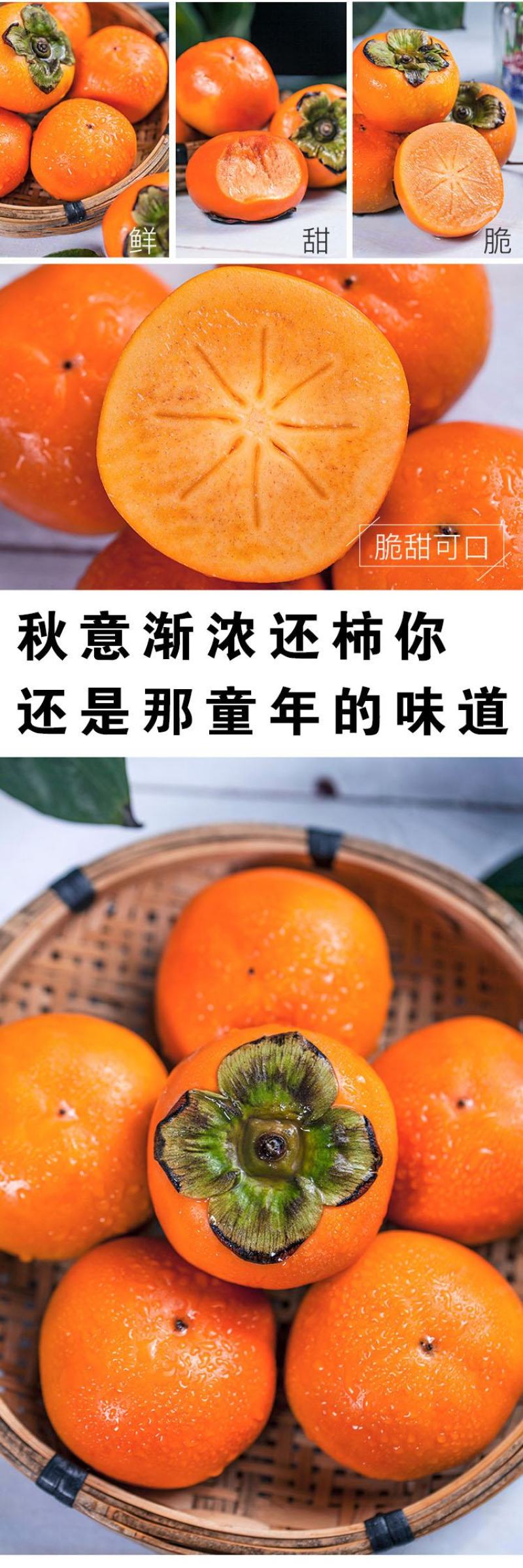 水果柿子甜心巧克力脆柿新鲜脆甜水果柿子电商一件代发