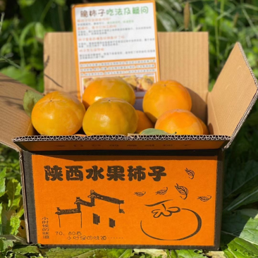 陕西阳丰脆甜柿子脆柿子一件代发电商抖音快手