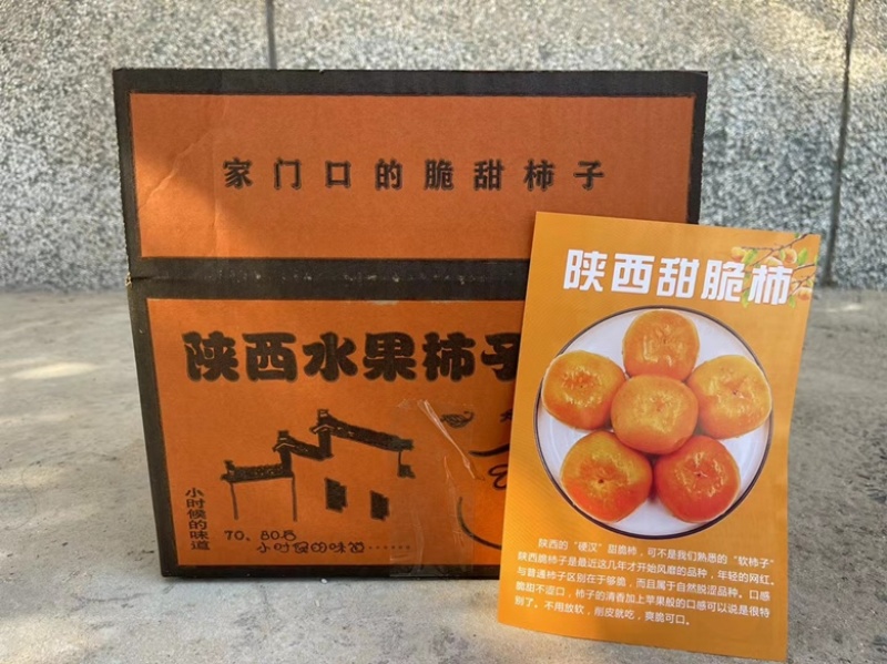 陕西阳丰脆甜柿子脆柿子一件代发电商抖音快手