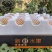 陕西阳丰脆甜柿子脆柿子一件代发电商抖音快手
