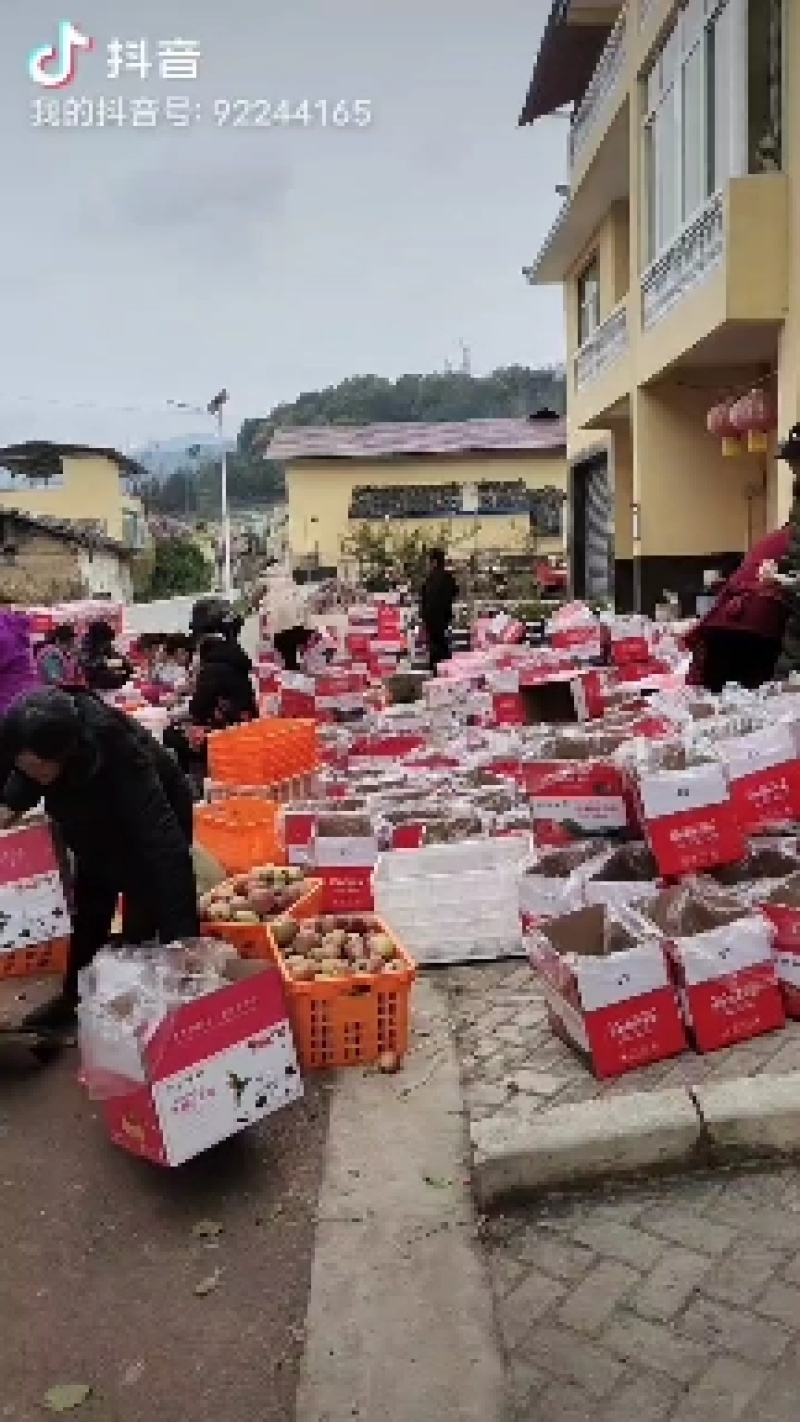 四川大凉山丑苹果，糖心富士苹果，又大又红，进我店铺了解吧