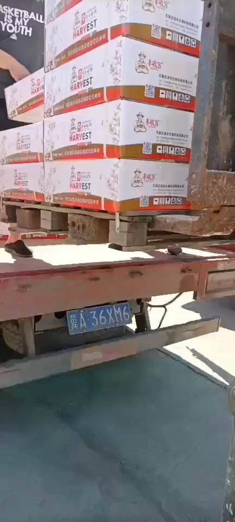 大量元素高钾肥膨果着色增加产量提高品质口感好，吸收好。
