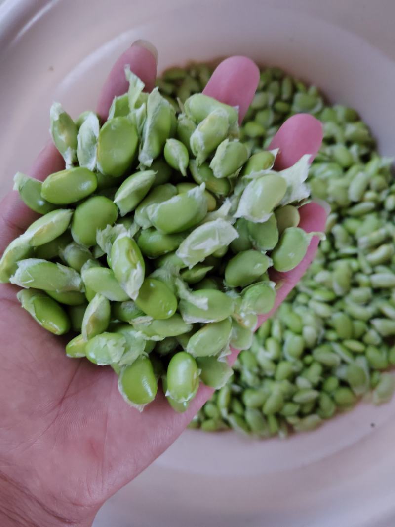 大量出售大青豆