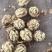 纸皮核桃，云南大理漾濞纸皮麻子果，今年新货