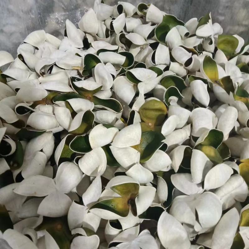 【推荐】三花陈皮，三花青皮，味道香，当季货！懂货都知道欢迎