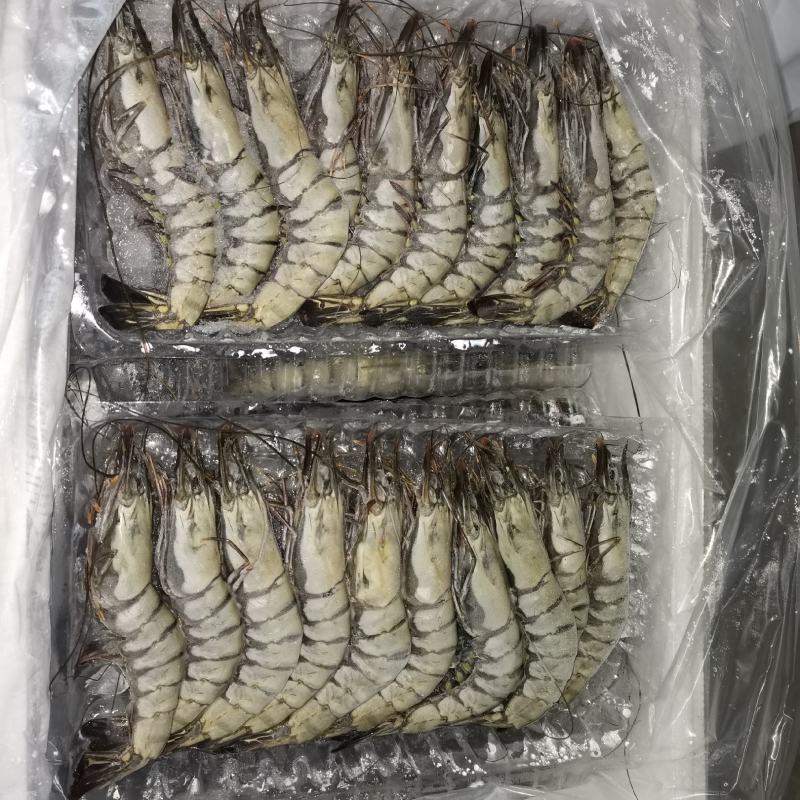 活冻黑虎虾