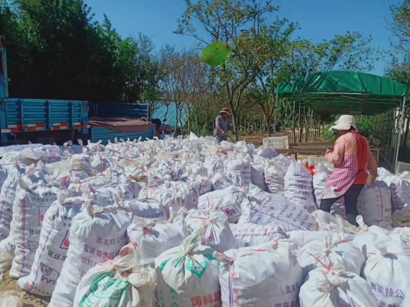 推荐】精品毛芋头，产地一手货源，价格实惠，坏烂包赔