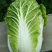 黄心大白菜,玲珑黄白菜,大白菜,3~10斤,无虫眼