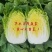 黄心大白菜,玲珑黄白菜,大白菜,3~10斤,无虫眼