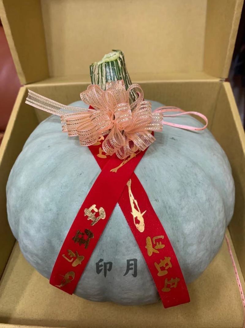 印月高圆银栗南瓜种子品相佳品质好产量高