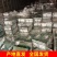 花螺鲜活新鲜海螺东风螺海鲜水产冷冻花螺