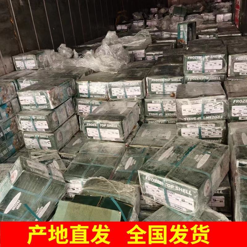 花螺鲜活新鲜海螺东风螺海鲜水产冷冻花螺