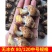 花螺鲜活新鲜海螺东风螺海鲜水产冷冻花螺