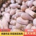 金韩蜜本南瓜大量上市市场电商加工厂欢迎联系全国发货