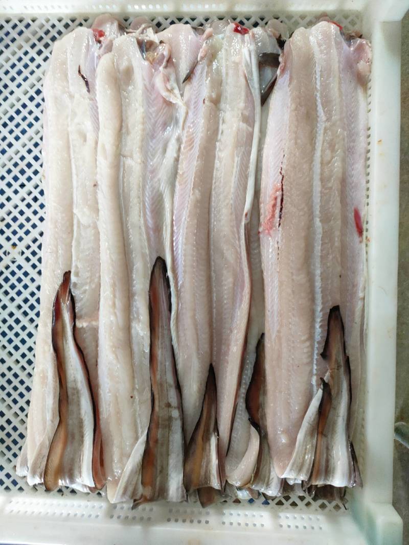 海鳗肉片、去头去肚去骨剩肉、广西北海本地货源加工出厂直批