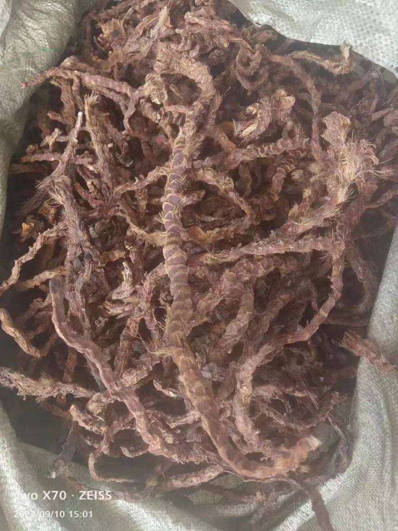石昌浦