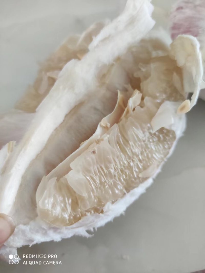 【推荐】湖南白心柚个头均匀甜蜜多汁发商超市场量大价优