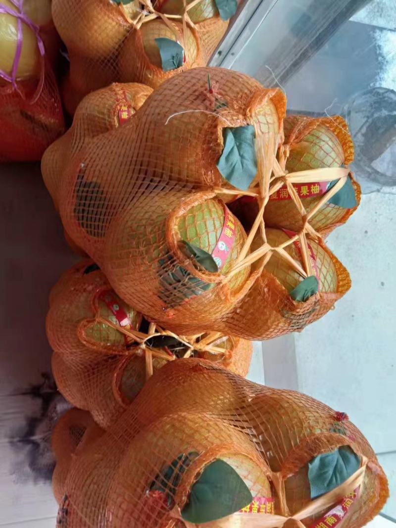 【推荐】湖南白心柚个头均匀甜蜜多汁发商超市场量大价优
