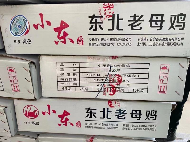 【牛商商家】东北红毛蛋鸡老母鸡量大从优产地发货