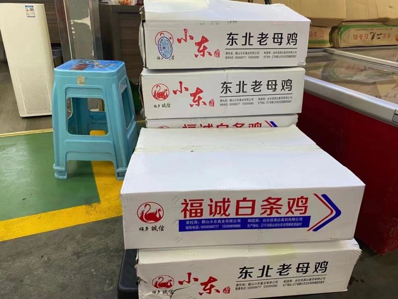 【牛商商家】东北红毛蛋鸡老母鸡量大从优产地发货