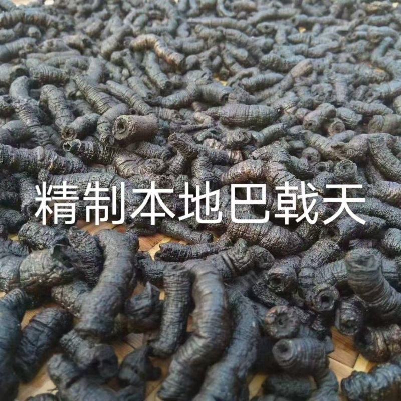 【特选】正宗德庆巴戟天特制巴戟天产地直供欢迎老板实地