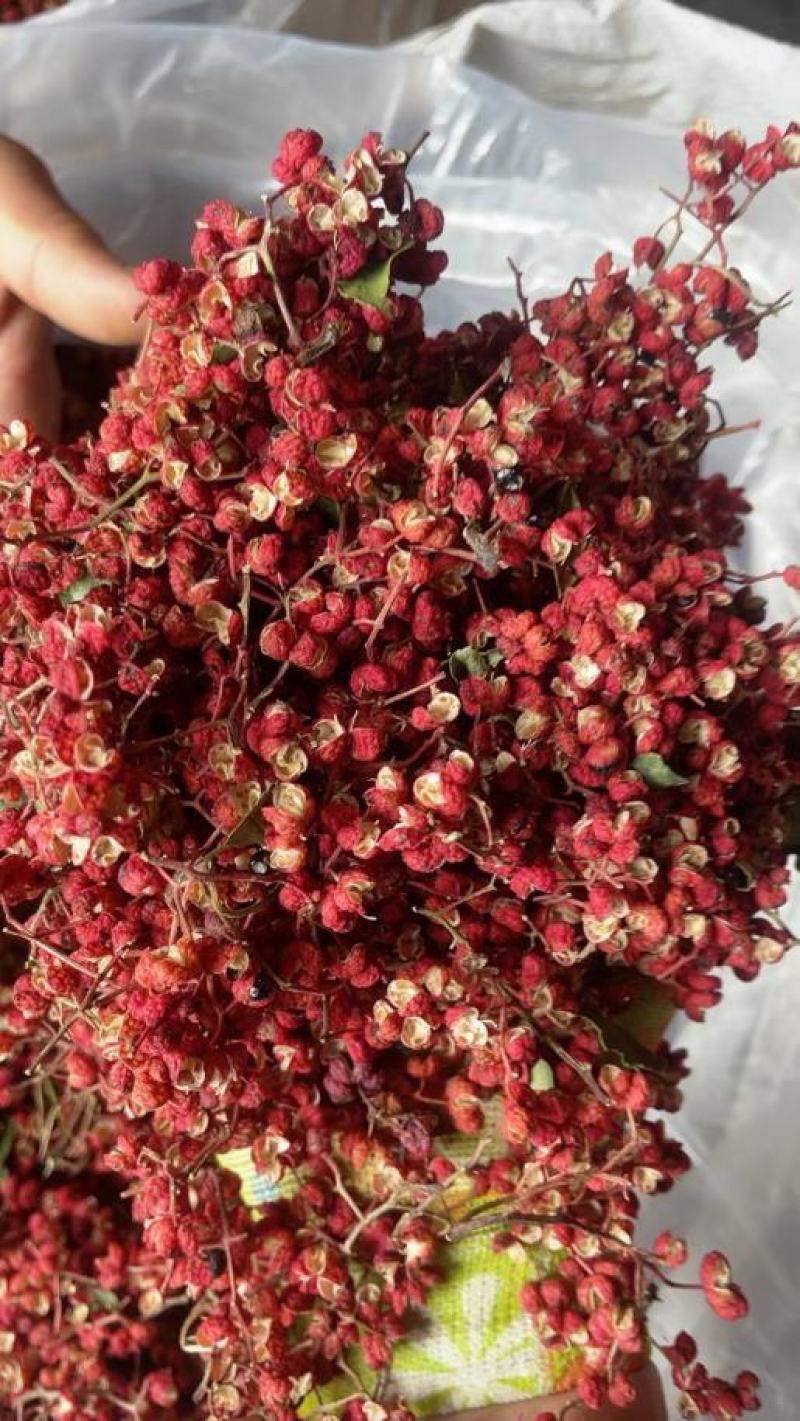 花椒