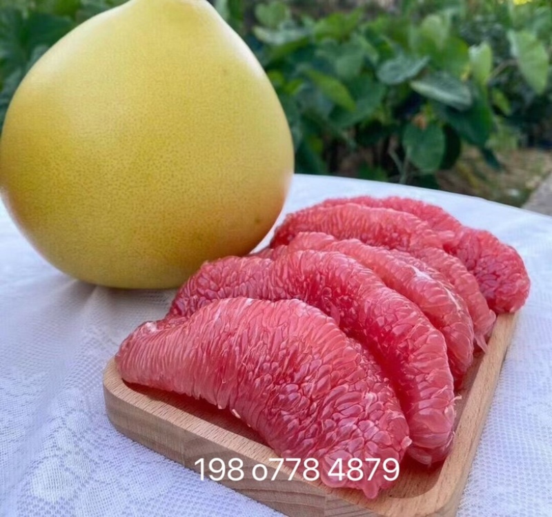 红心柚