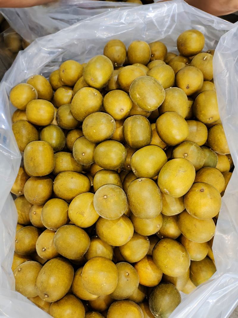 工厂直供，桂林罗汉果，电商果、低温脱水黄金罗汉果基地现货