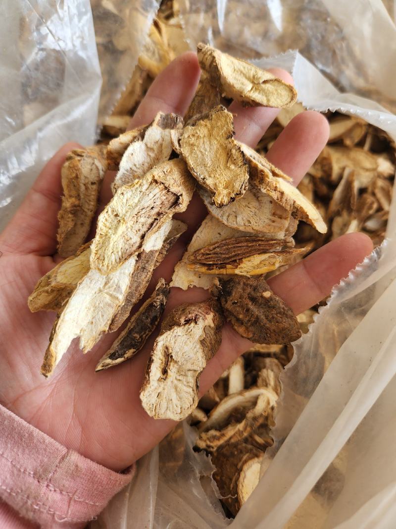 广西大山深处的新鲜野生黑牛牛大力纯野生资源