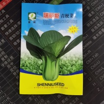 瑞丽斯夏季耐热青梗菜种子小油菜蔬菜夏天种的青菜上海青种籽