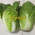 黄心大白菜,玲珑黄白菜,大白菜,3~10斤,无虫眼